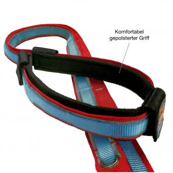 Kurgo Reflect & Protect Quantum Leash Barn Red